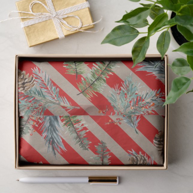 Papel De Seda Festive Red Stripe Pine Spruce Cones Kraft Holiday (Presente)