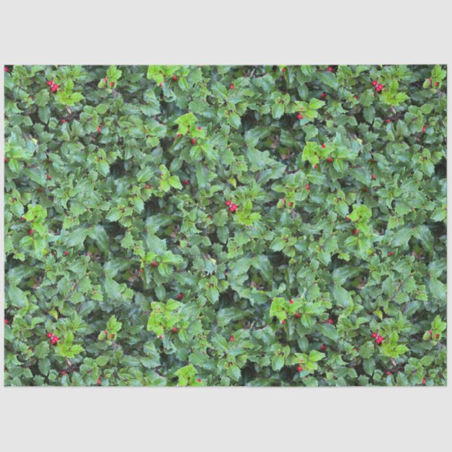 Papel De Seda Festivo Green Holly Berry Natal (Frente )