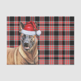 Papel De Seda Festivo Xadrez Vermelha Belga Malinois Natal