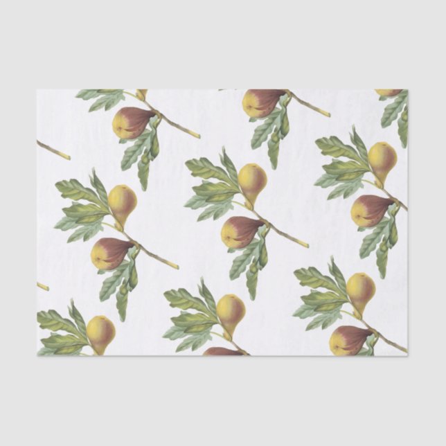 Papel De Seda Fig Pattern (Frente )