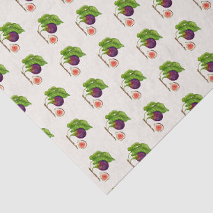 Papel De Seda Figos em aquarela estilo vintage em ecru