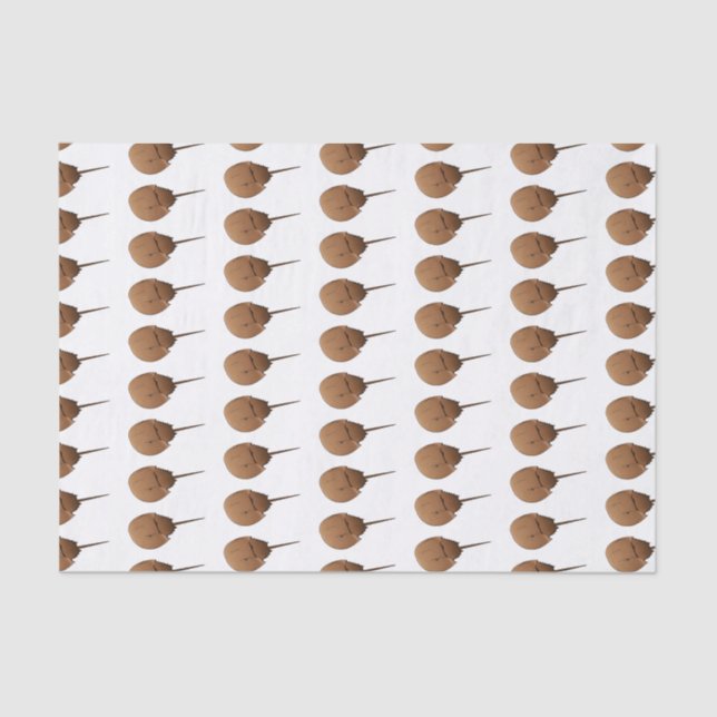 Papel De Seda Figura de desenho animado em ferradura (Frente )