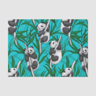 Papel De Seda Filhotes de Panda em turquesa