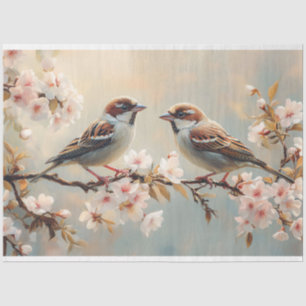 Papel De Seda Finch Birds em uma dissociação de ramificação de f