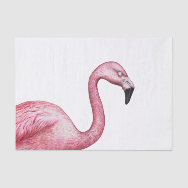 Papel De Seda Flamingo (Frente )