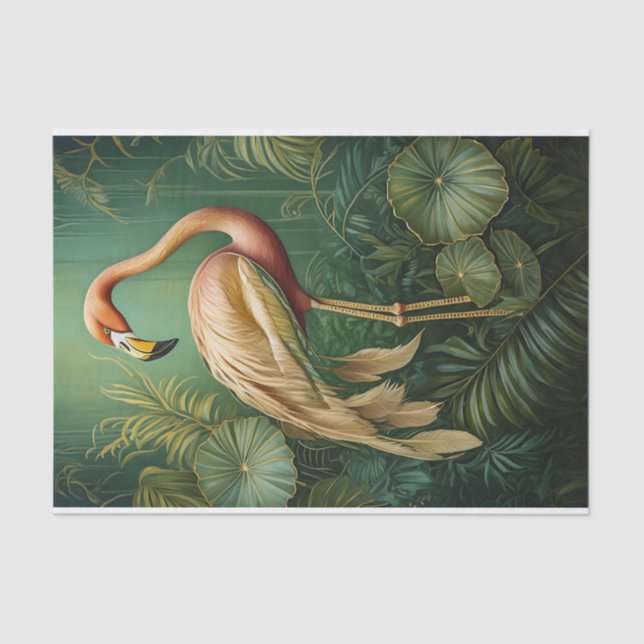 Papel De Seda Flamingo Feathery Finery, Botânica Elegante (Frente )