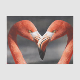 Papel De Seda Flamingoes no Amor