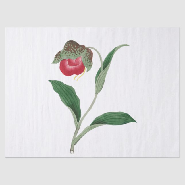 Papel De Seda Flor (Frente )