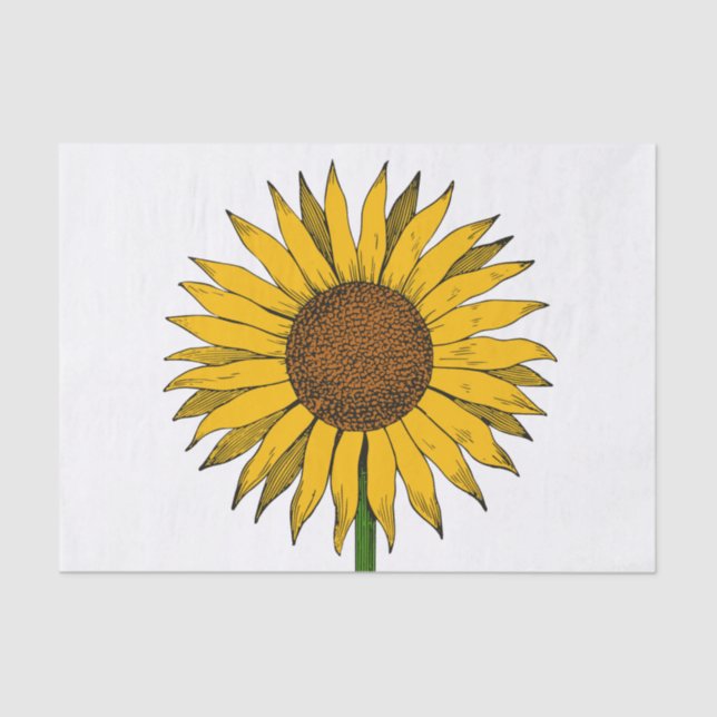 Papel De Seda Flor Amarelo Sunflower (Frente )