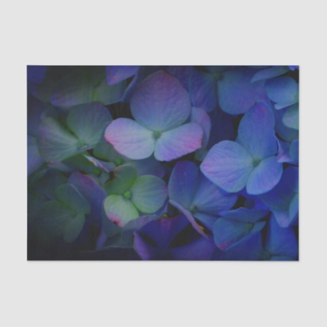 Papel De Seda Flor azul-violeta azul-hidrangeas-violeta floral (Frente )