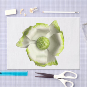 Papel De Seda Flor Branca Verde - Grande Floral para Casamento d