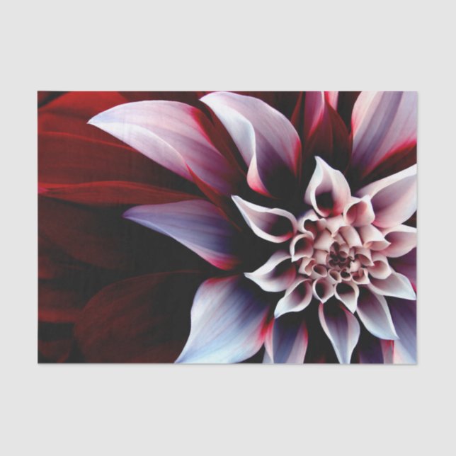 Papel De Seda Flor colorida (Frente )