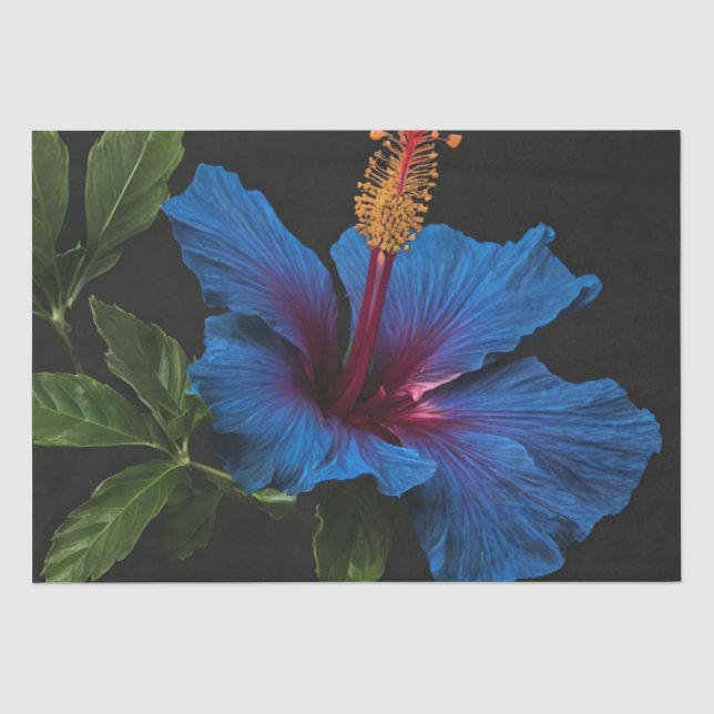 Papel De Seda Flor de Hibiscus Azul Blooming, (Frente )