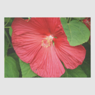 Papel De Seda Flor de Hibiscus Brilhante Magenta
