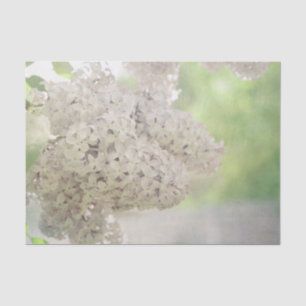 Papel De Seda Flor de Lilás Suave Branco Botânico Rústico