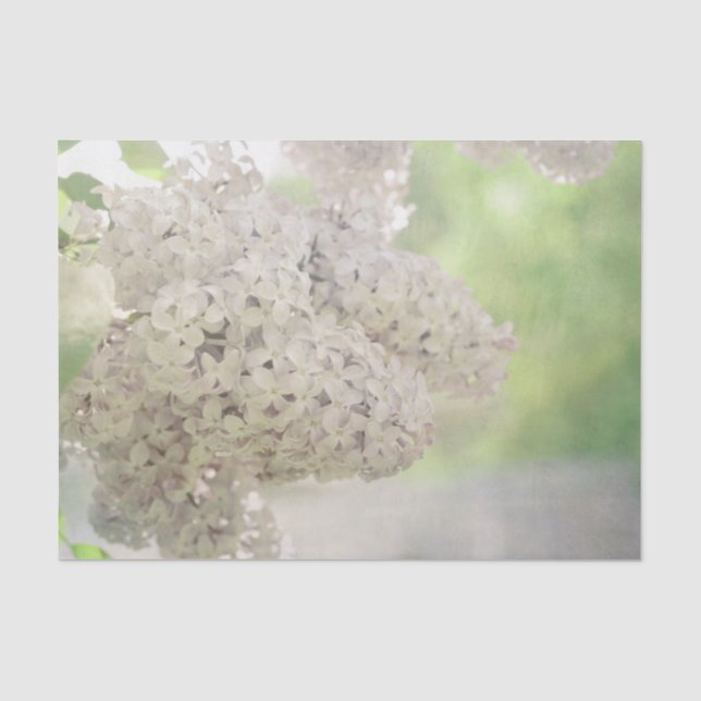 Papel De Seda Flor de Lilás Suave Branco Botânico Rústico (Frente )