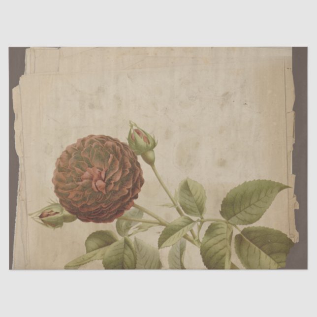 Papel De Seda Flor de Papoila na Decoupage Distante (Frente )