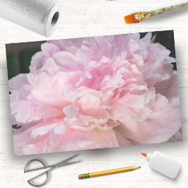 Papel De Seda Flor de Peônia Rosa