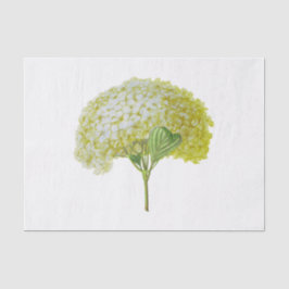 Papel De Seda Flor Floral de Hortênsia Amarela Branca Vintage