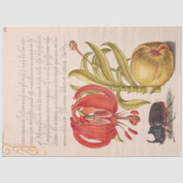 Papel De Seda Flor, Fruta e Besouro Rinoceronte de Pomegranato