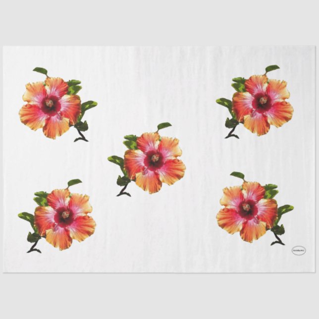 Papel De Seda Flor HAMbyWG Hibiscus - (Frente )