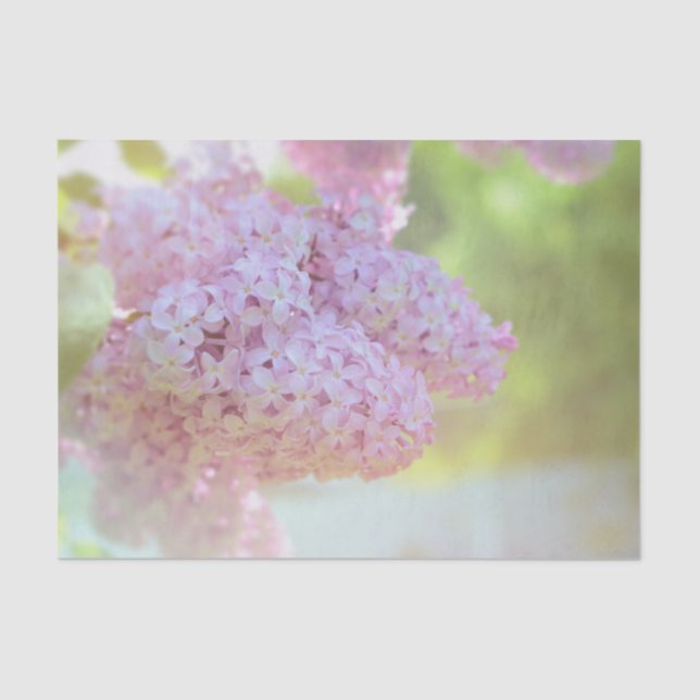 Papel De Seda Flor Lilar Puro Belo País (Frente )