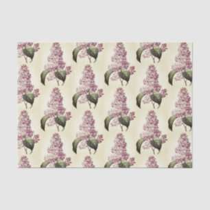 Papel De Seda Flor Lilático Púrpura Da Vintage Antiquada
