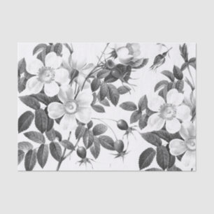 Papel De Seda Flor Rosa selvagem preto e branco