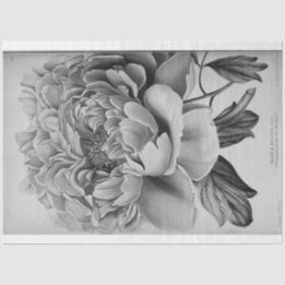 Papel De Seda Floral Ephemera Decoupage Black White Peony