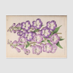 Papel De Seda Floral Ephemera Decoupage Flores Roxas Francesas T