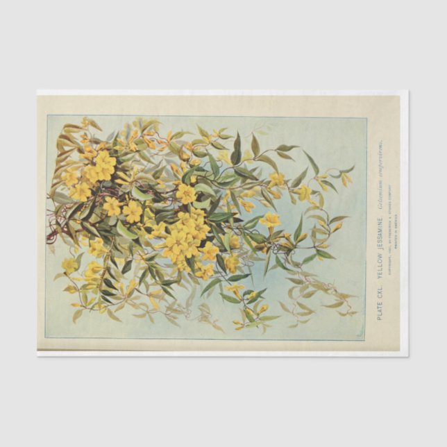 Papel De Seda Floral Ephemera Decoupage Jasmine Sunflower (Frente )