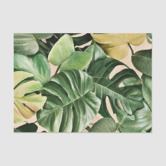 Papel De Seda Floral/Havaí/Folha tropical (Frente )