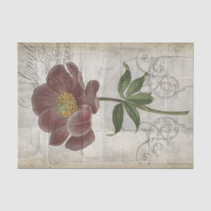 Papel De Seda Floral I Francês