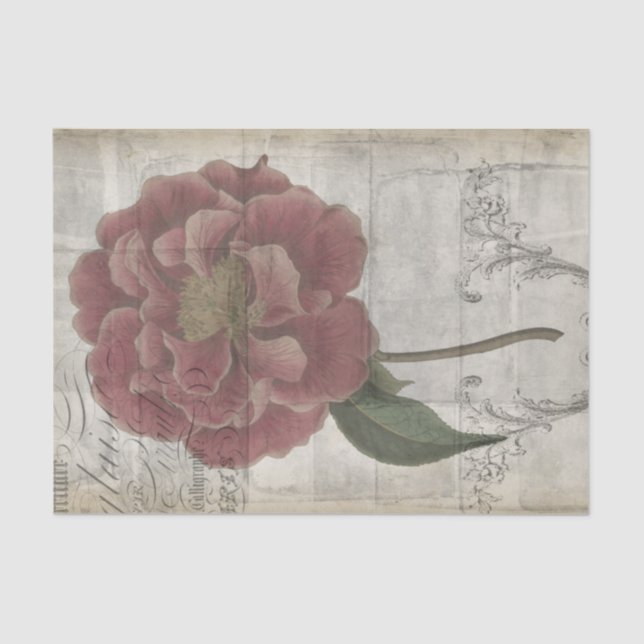 Papel De Seda Floral III francês (Frente )