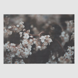 Papel De Seda Floral Mal-humorado