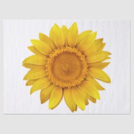 Papel De Seda Floral Moderno Elegante