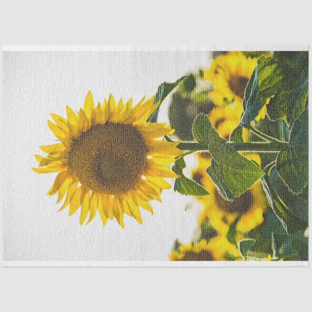 Papel De Seda Floral Moderno Elegante (Frente )