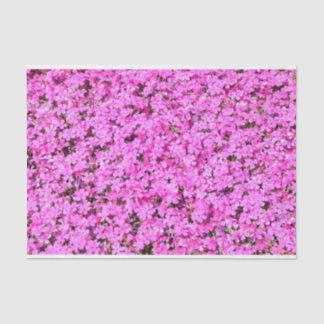 Papel De Seda Floral Rosa Vibrante