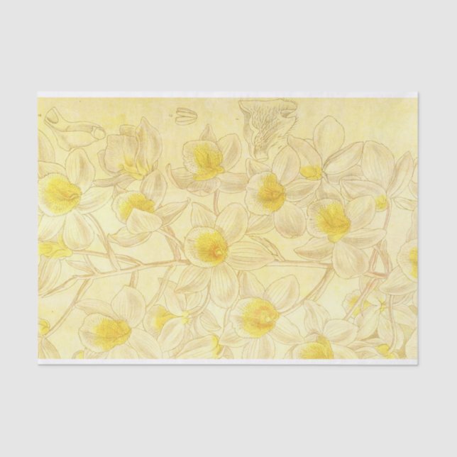 Papel De Seda Flores Antigas Desenhando com Decoupage Amarelo (Frente )