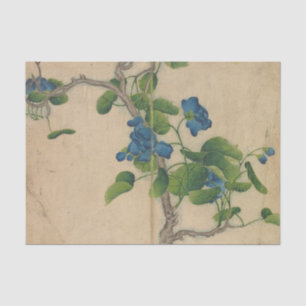 Papel De Seda Flores Azuis Subindo por Zhang Ruoai
