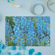 Flores Bluebell bonito