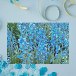 Papel De Seda Flores Bluebell bonito