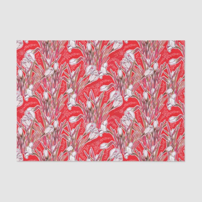 Papel De Seda Flores Botânicas Crocos Brancos (Frente )