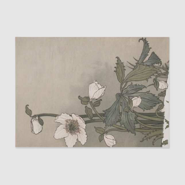 Papel De Seda Flores brancas por Eugene Grasset (Frente )