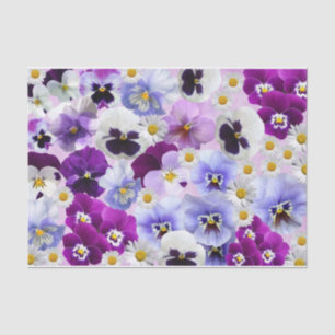 Papel De Seda Flores Coloridas Pansy e Daisy