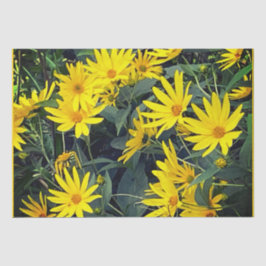 Papel De Seda Flores de Artichoke em Jerusalém