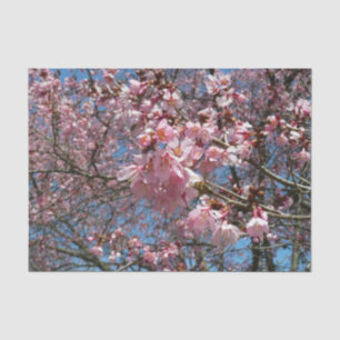 Papel De Seda Flores de Cereja e Flores Rosa de Abelha