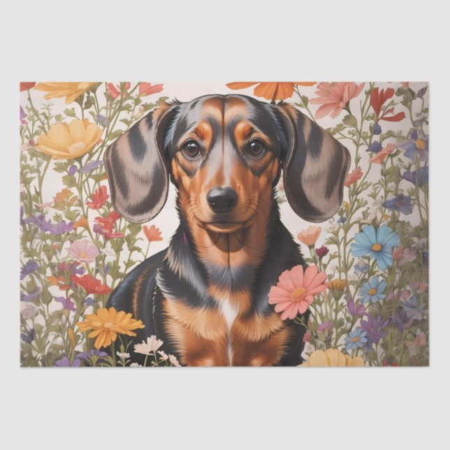 Papel De Seda Flores De Dachshund Castanho E Cosmos (Frente )
