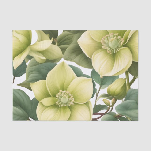 Papel De Seda Flores de Hellebore Elegantes (Frente )