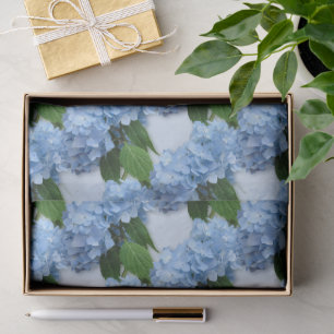 Papel De Seda Flores de Hortênsia Azuis Reais Casamento
